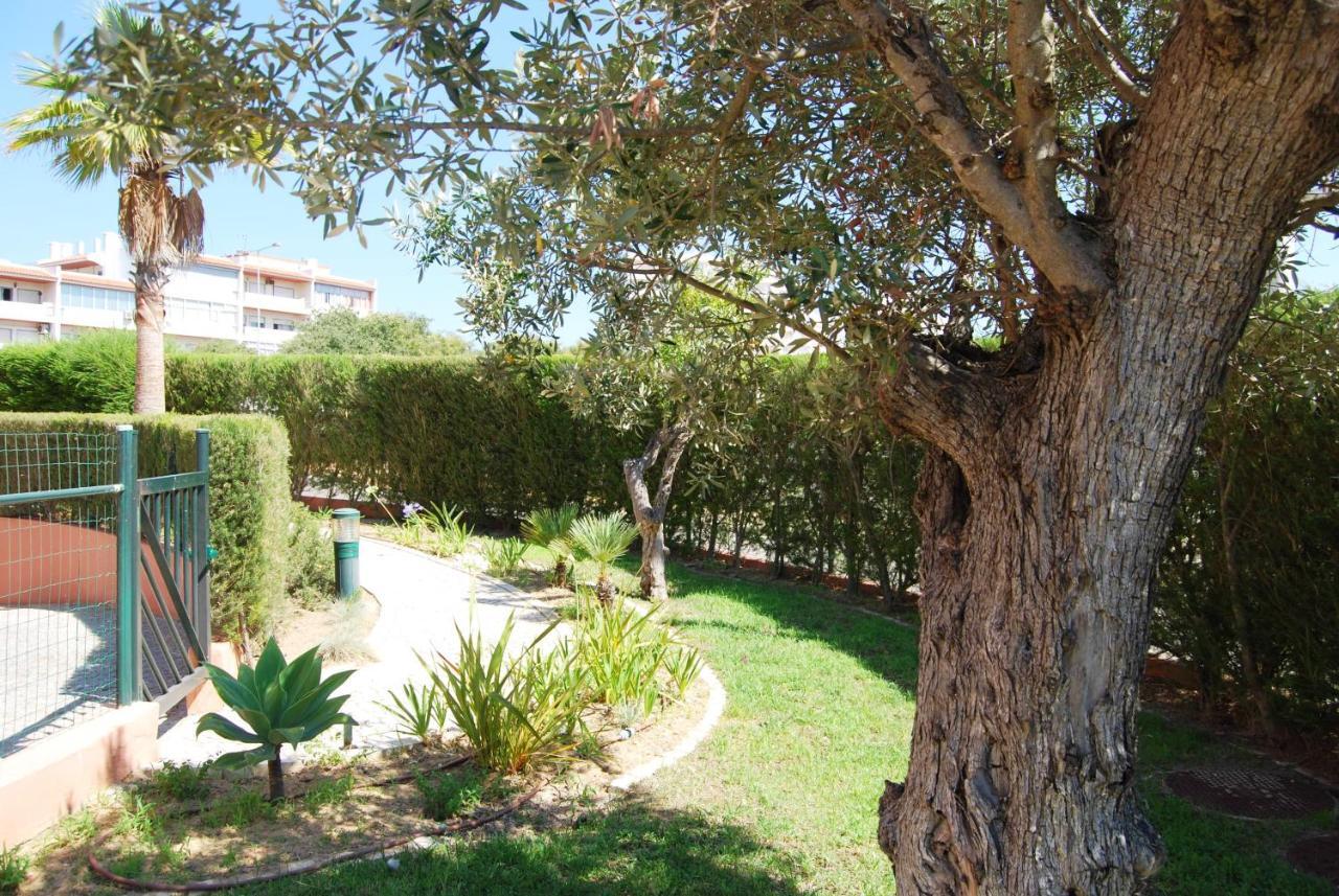 Apartment Litoralmar Beachfront *